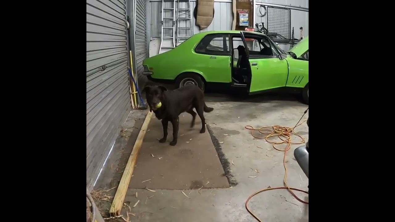 How good is my dog's impression of a Holden Straight 6 engine?