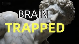 The Brutal Truth About Your Echo Chamber