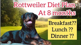 Rottweiler full day Diet plan At 8 month #max #rottweiler #rottweilerdietplan