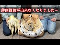 【ご報告】今後の活動について重要なお知らせ