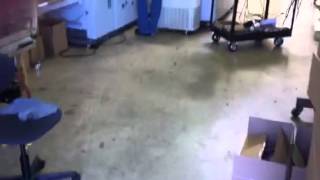 Presstek Ctp Video For Guy