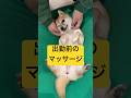 豆柴つくね店長の日常 #shorts #dog #shibainu