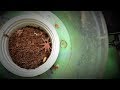 TARANTULA KEEPER NA AKO!!