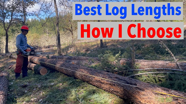 How I Choose Best Lengths to Cut My Logs