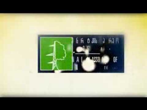 ენერგეტიკისა და გარემოს ეროვნული ასოციაცია