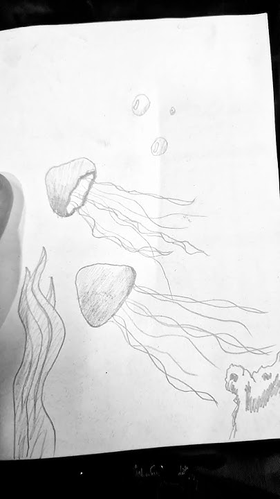 рисуем на работе #работа #рисунок #карандаш #мидуза #море #вода # ...