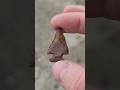 How Old Is This Arrowhead? #arrowhead #history #treasure