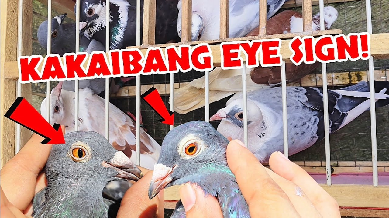 Naniniwala ka ba sa LUCKY CHARM?