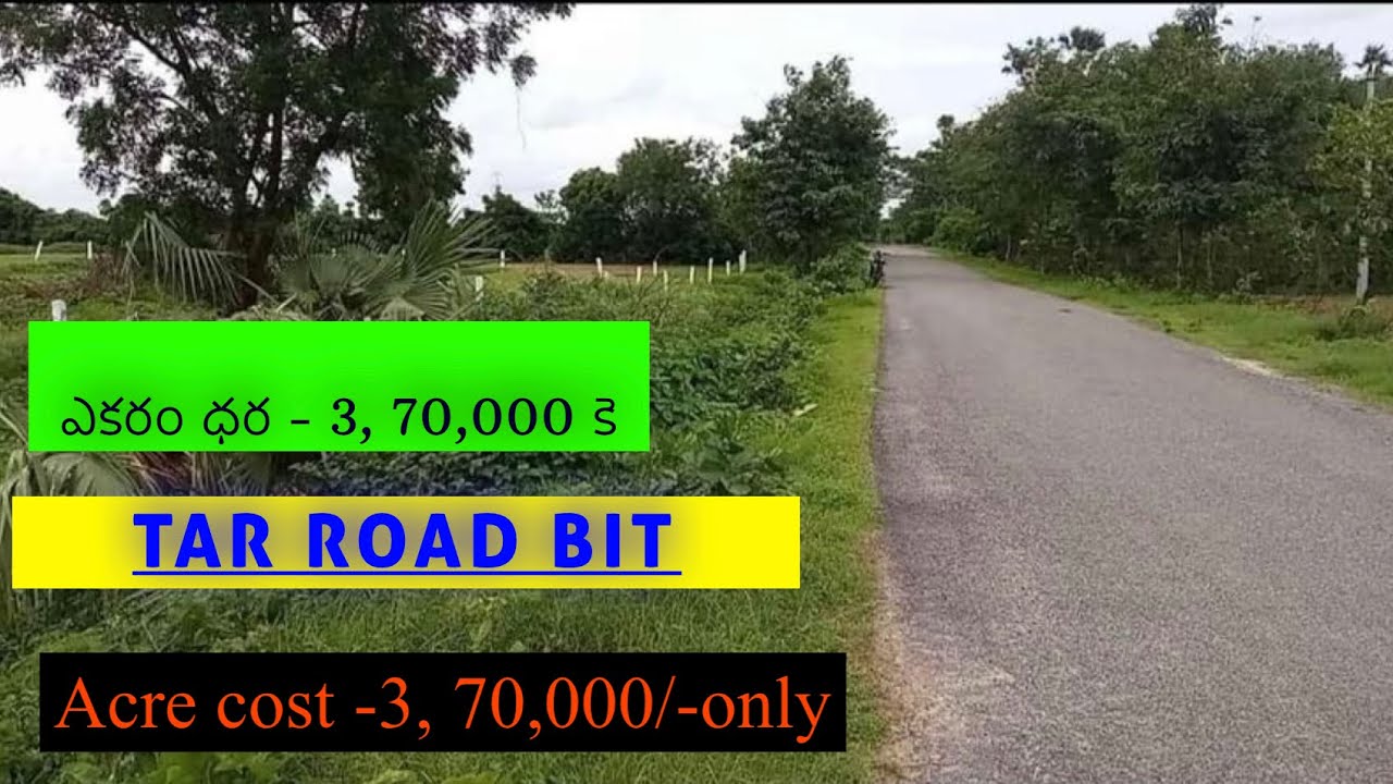 80 Acres cheapest agricultural land sale 3, 70,000/ only YouTube