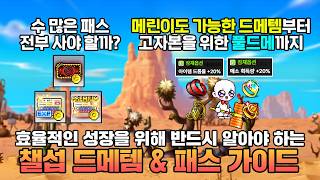 챌섭 챌린저를 위해선 선택이 아닌 필수입니다! 챌린저스 월드 드메템 세팅 & 패스 우선순위 총정리