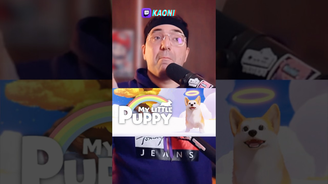 Игра где корги идет своего хозяина - my little puppy 