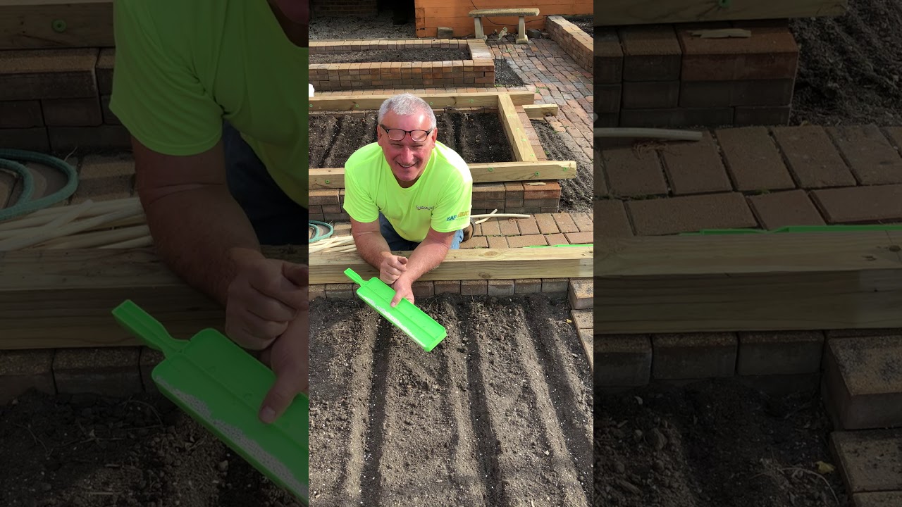 How to Plant pelleted seed Sow Perfect Seeder / carrots Lettuce YouTube