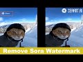 Tired of watermarks on your AI videos? Remove them in 3 clicks. For FREE.