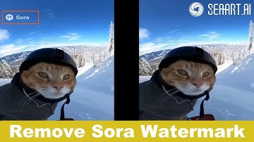 Tired of watermarks on your AI videos? Remove them in 3 clicks. For FREE.