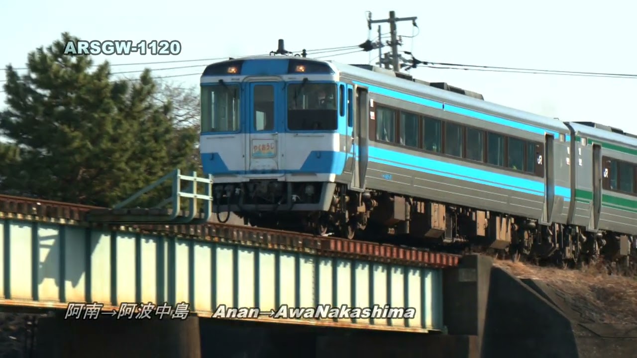 雲仙 SP 碧玉 磨き原石 台付き 】 出雲石 国産 花仙山 青めのう 緑 限定