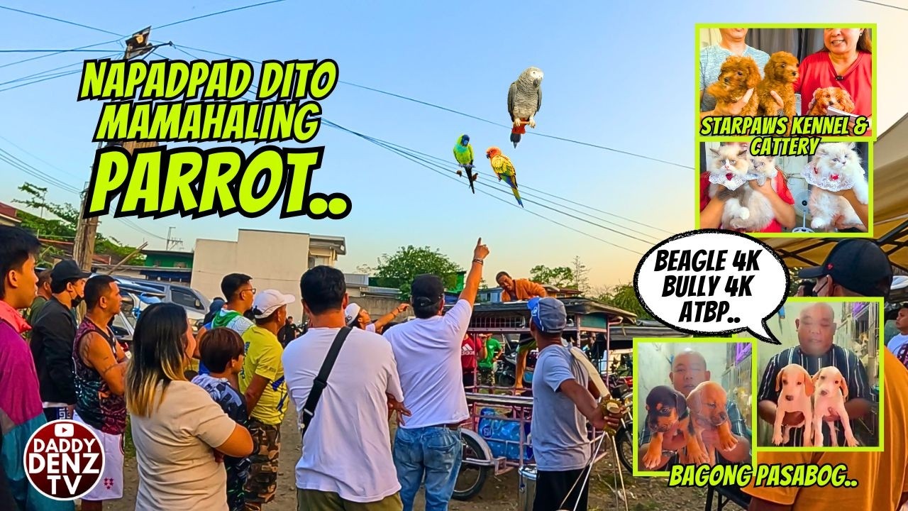 MA RESCUE KAYA AT MAIBALIK SA MAY-ARI?.. / FEB. 27, 2026 @BOCAUE PETS & LIVESTOCK MARKET