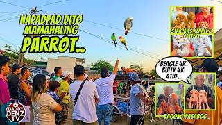 MA RESCUE KAYA AT MAIBALIK SA MAY-ARI?.. / FEB. 27, 2026 @BOCAUE PETS \u0026 LIVESTOCK MARKET