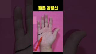 감정선 손금이 짧으면 차갑고 냉정한 사람일까? #손금 #연애운