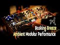 Basking Breeze | Modular Ambient Performance