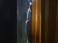 #viralvideo  Mahadev Japani Door And Window Frame Pandapur #doorframe