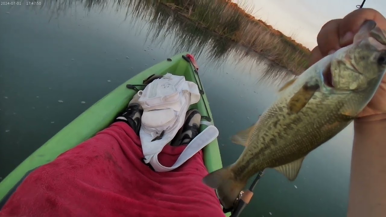 Early Morning Bass Fishing
