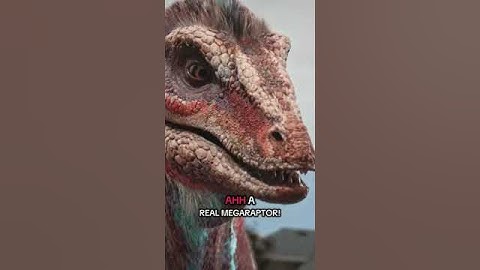 Thumbnail of 🦖Is there's a Megaraptor behind you? 🤣 HELP!!!🦖