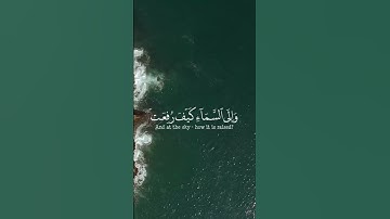 قران كريم سورة الغاشية 17-21 افلا ينظرون الى الابل كيف خلقت عبد الرحمن مسعد