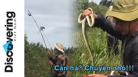 Siêu phẩm săn chuột bằng súng tự chế - Mùa nước nổi miền tây 2019 | Tập 2: Mặc cho rắn cắn