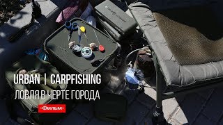 Urban Carpfishing | Карпфишинг в черте города.