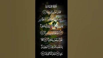 سورة القيامة كلا بل تحبون العاجلة وتذرون الآخرة الاية ٢٠ إلى الآية ٢٨