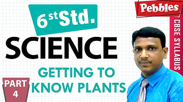 CBSE Class 6th std Science | Getting to Know Plants | Part - 4