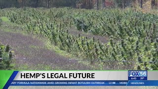Kentucky hemp farmer reacts after Senate vote puts livelihood on the line