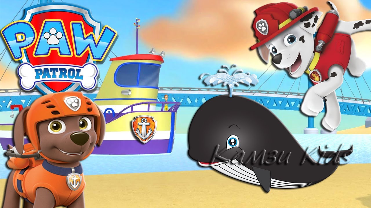 Карта бухты приключений щенячий патруль