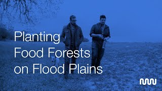 Planting Food Forests on Flood Plains
