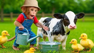 Download Lagu Mono BUBU está echando agüita en un balde rodeado de vaquitas y patitos!? 🐮🪣🦆💦 MP3