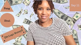 Do This To Manifest Money At Home I Feng Shui Basics I Homemaking I Black Housewife Flylady Day 13