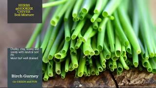 Tips & tricks for keeping your hooker chives @ herbs healthy happy as
an indoor plant! the care needs plant are simple. keep a good watch on
p...