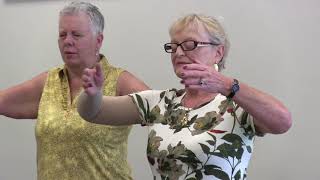Tai Chi | Wellspring Calgary Programs