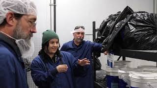 Canna-Candyland - A tour of Papa & Barkleys in Eureka, CA Part 1 - Royal Grown Radio