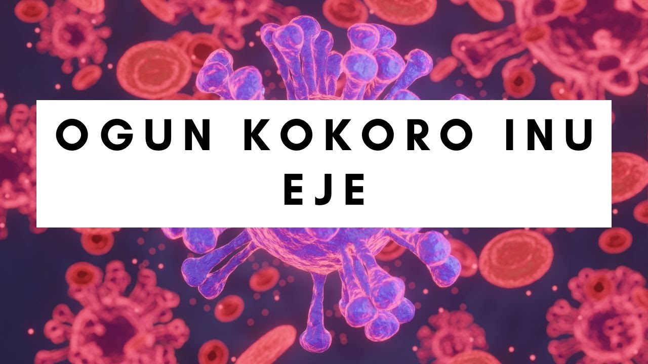 ogun-kokoro-inu-eje-youtube