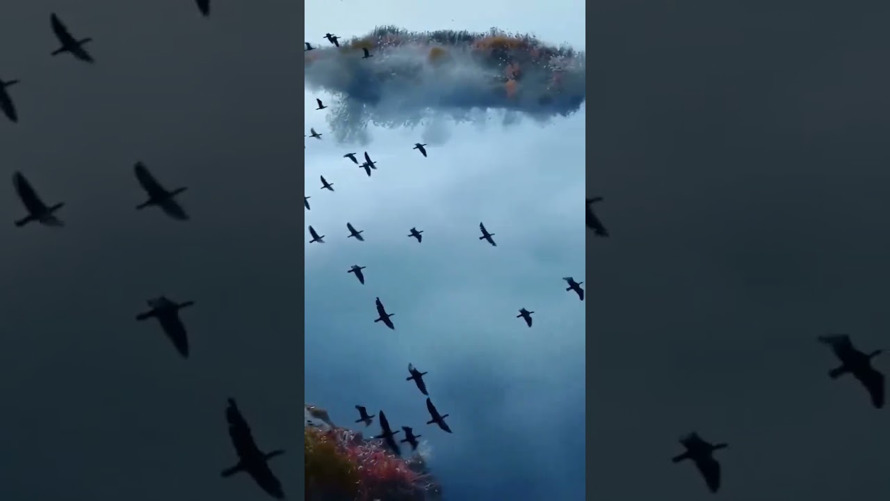 Across the waves @HISoundscape-z4u