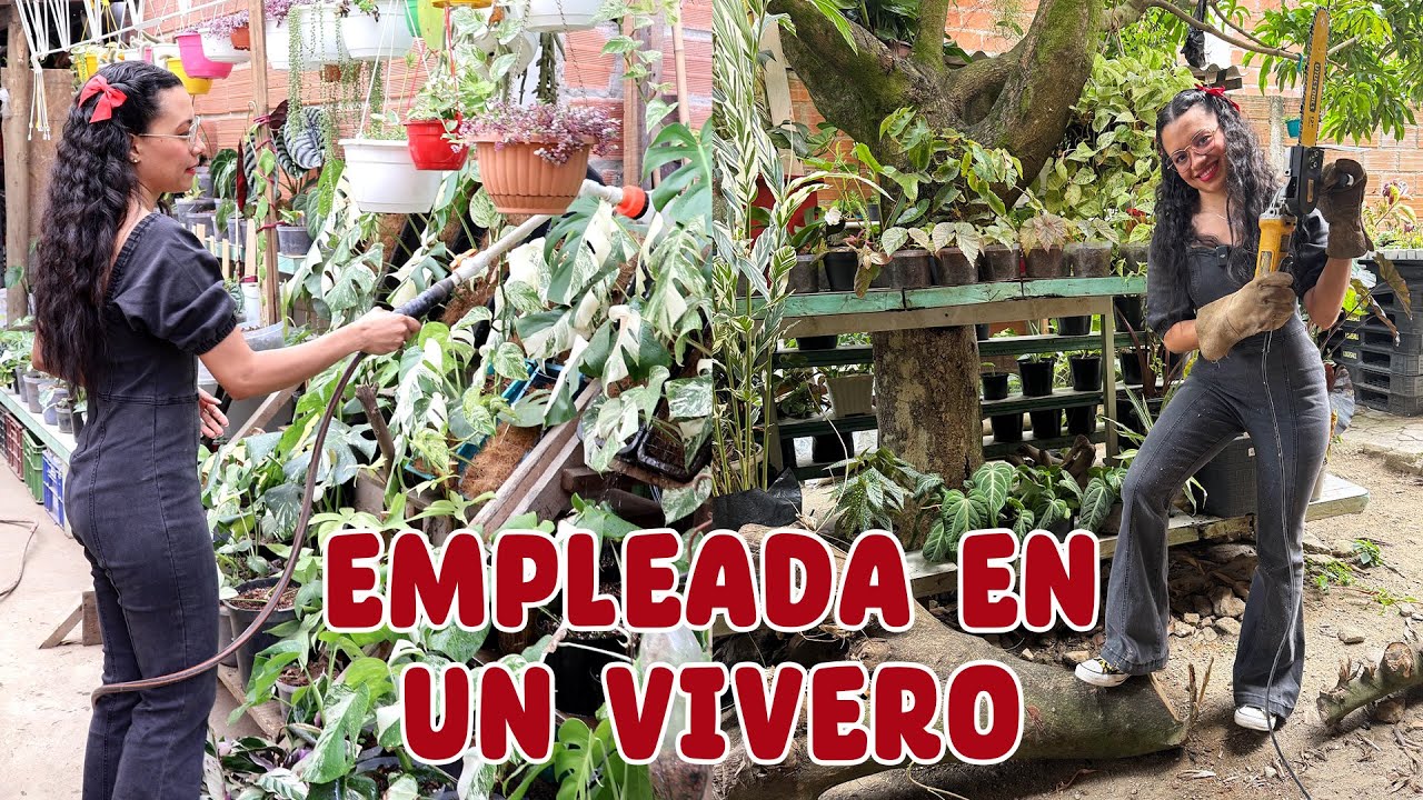 Un día trabajando en un vivero ¡HICE DE TODO!