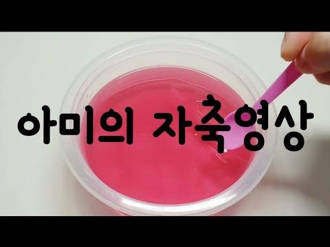 아미의본격 자축영상