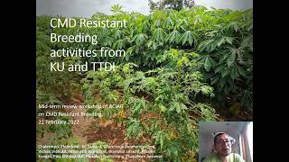 CMD Resistant Breeding activities at KU-TTDI