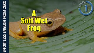 EFFORTLESS ENGLISH LESSON 6 -  A SOFT WET FROG (LEVEL 1) screenshot 2