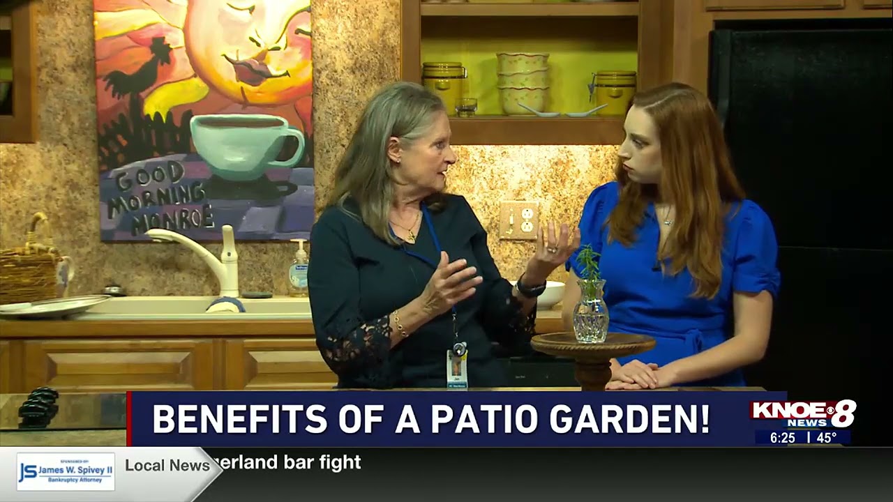 Nutritional benefits of a patio garden with Jen Avis