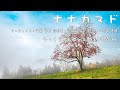 ナナカマド/手嶌葵(ゲド戦記) ゆっくりオルゴール 作業用BGM・勉強用BGM・睡眠用BGM 1時間ver.