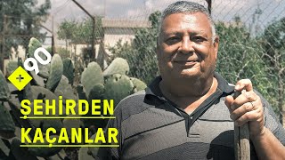 Şehirden kaçanlar: Silifke'de meyvecilik | 'Kırsalı istiyordum, özlediğim hayatı burada kurdum'