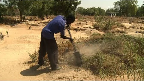 The grave-diggers of Maiduguri: burying Boko Haram and the past