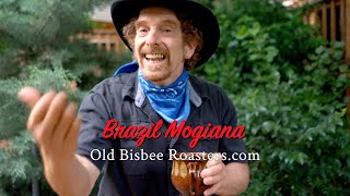 Brazil Mogiana is Some of the World's Best Coffee